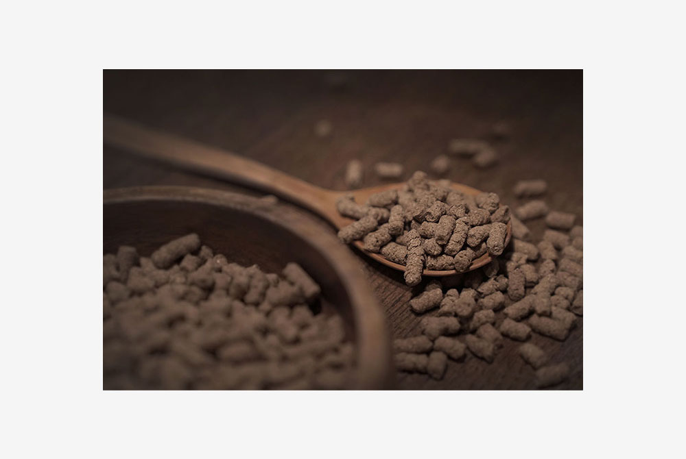 はじめての方へ　B:ドライフード