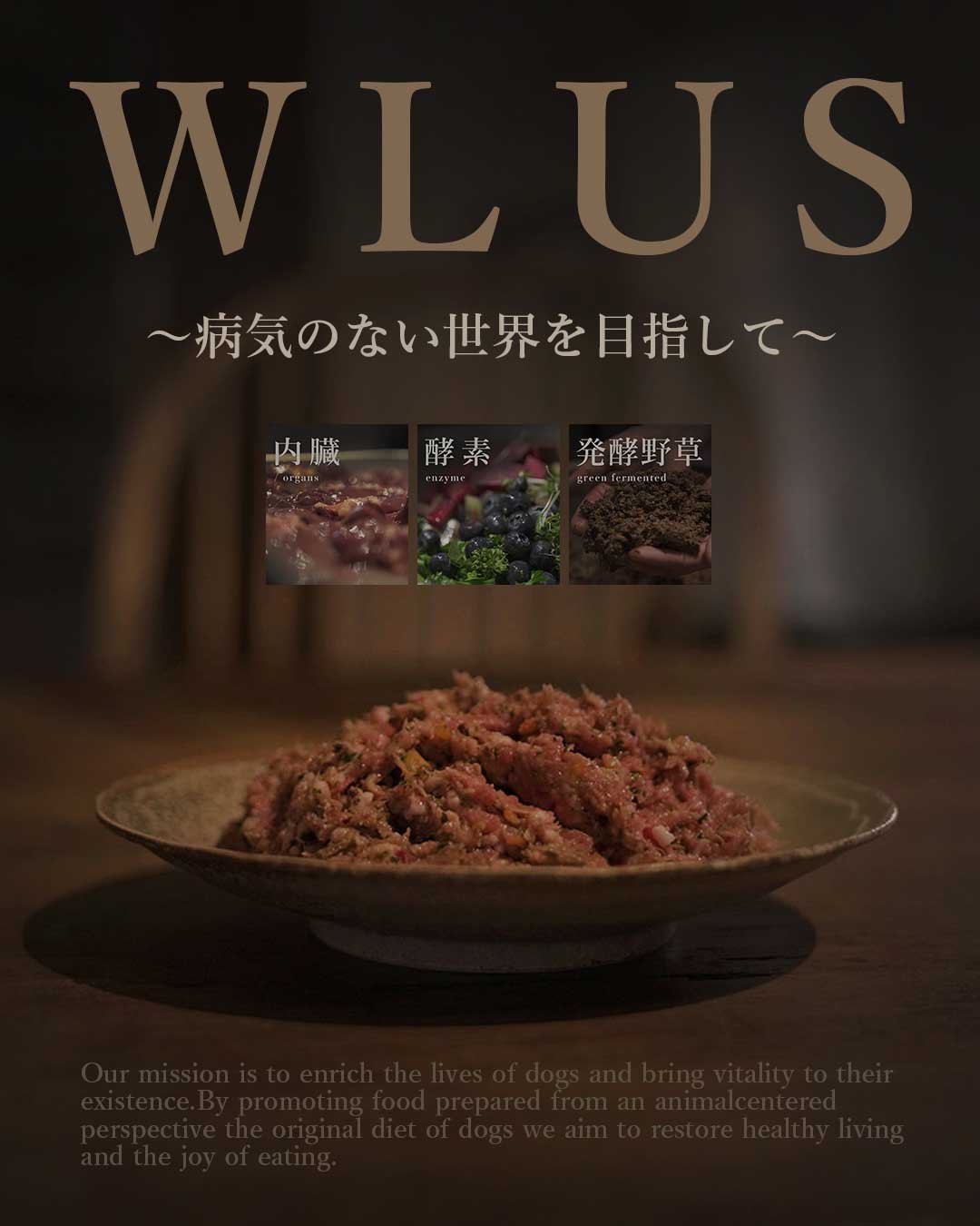 はじめての方へ　ウルス　犬の食事