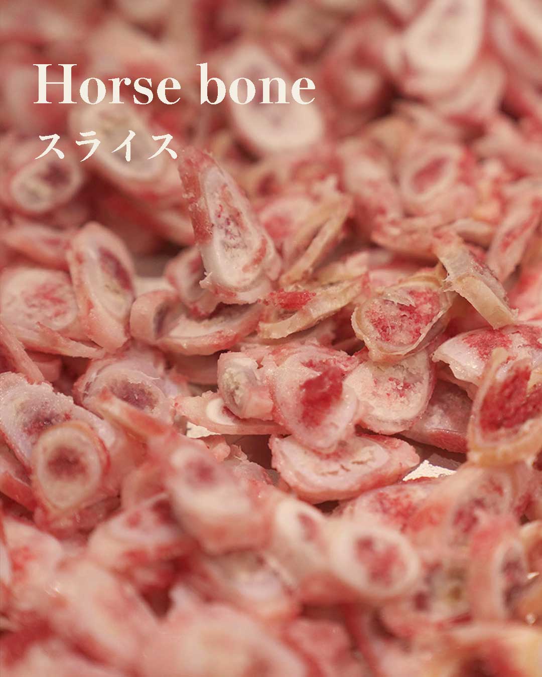 はじめての方へ　ウルスホースボーンスライス