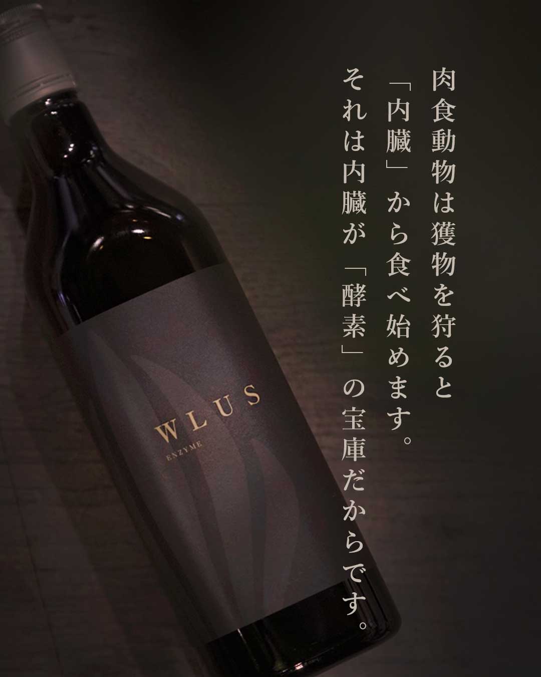 はじめての方へ　ウルスエンザイム