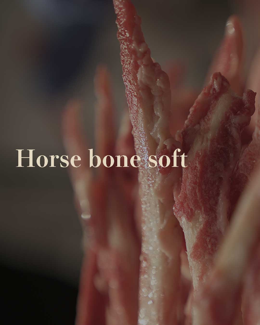 はじめての方へ　ウルスホースボーンソフト