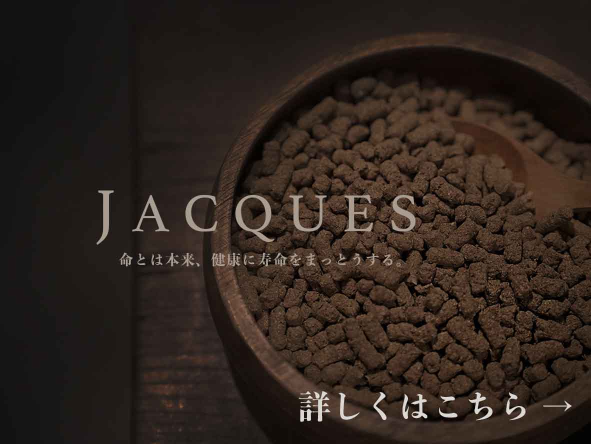 jacques 犬 ドッグフード