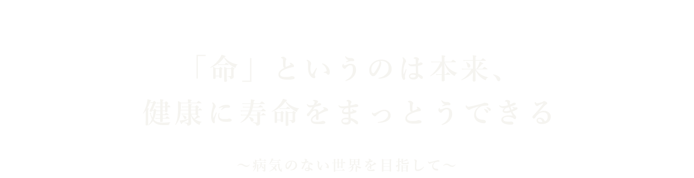 ウルス 犬の食事 生食