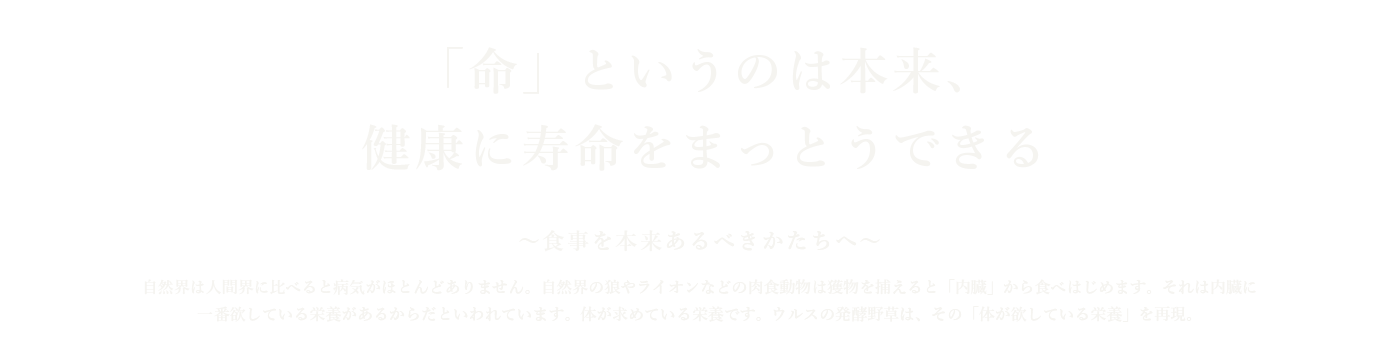 ウルス　犬の食事　生食