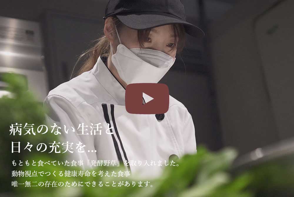 クロムエルシェイク