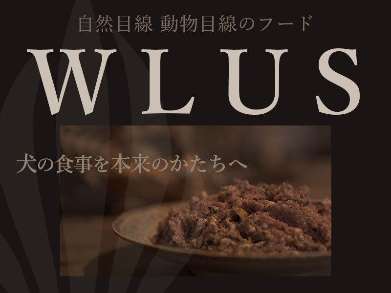 ウルス 犬 生食