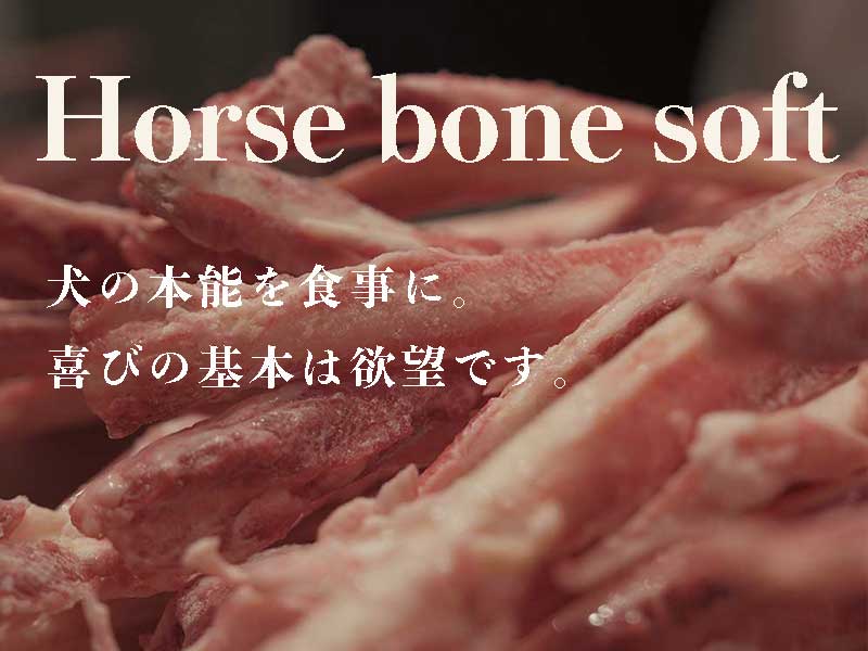 ウルス ホースボーンソフト