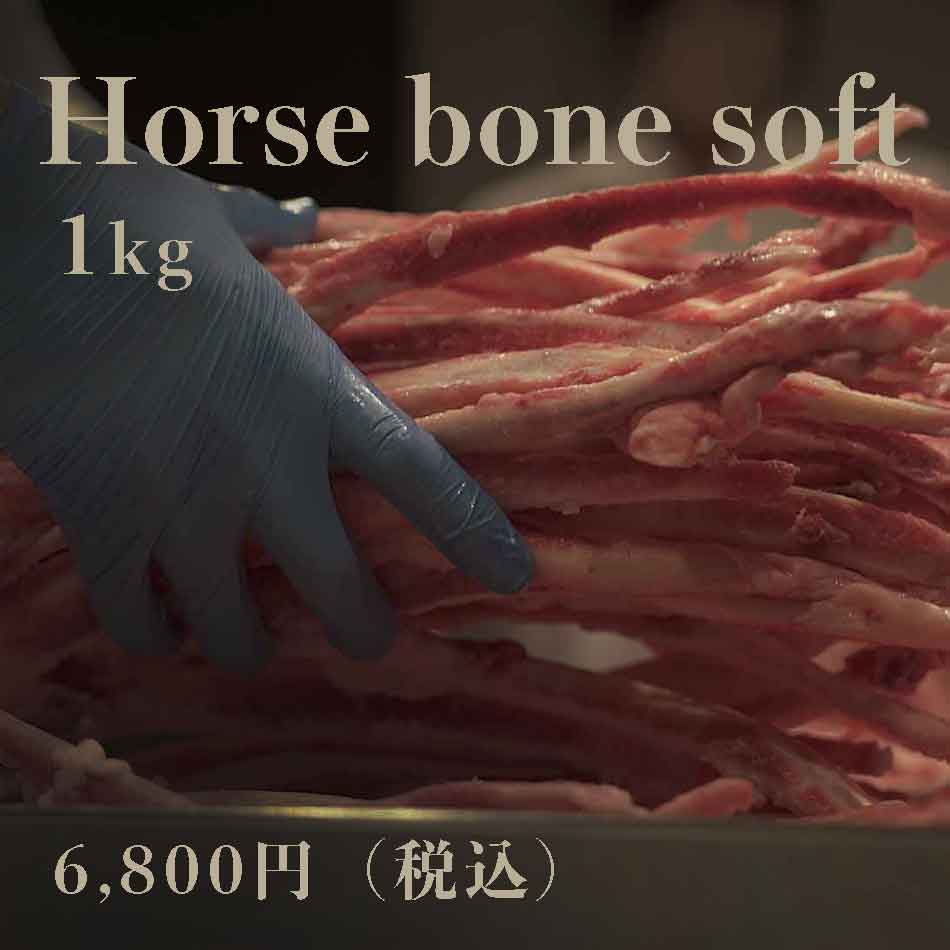 ウルスシリーズ
