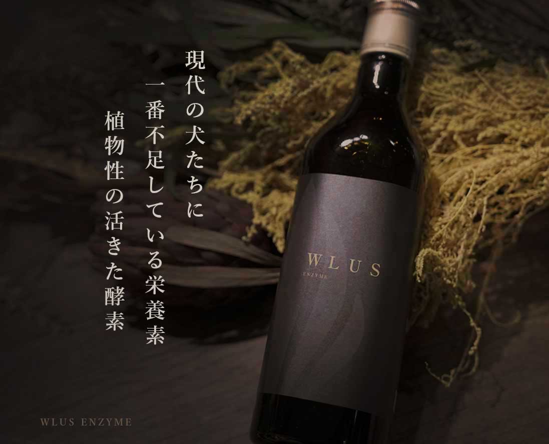 生酵素（犬）
