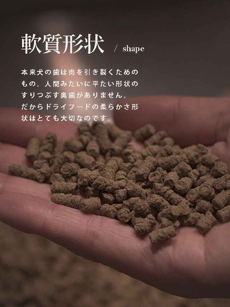 犬の食事 自然食ウルス 酵素
