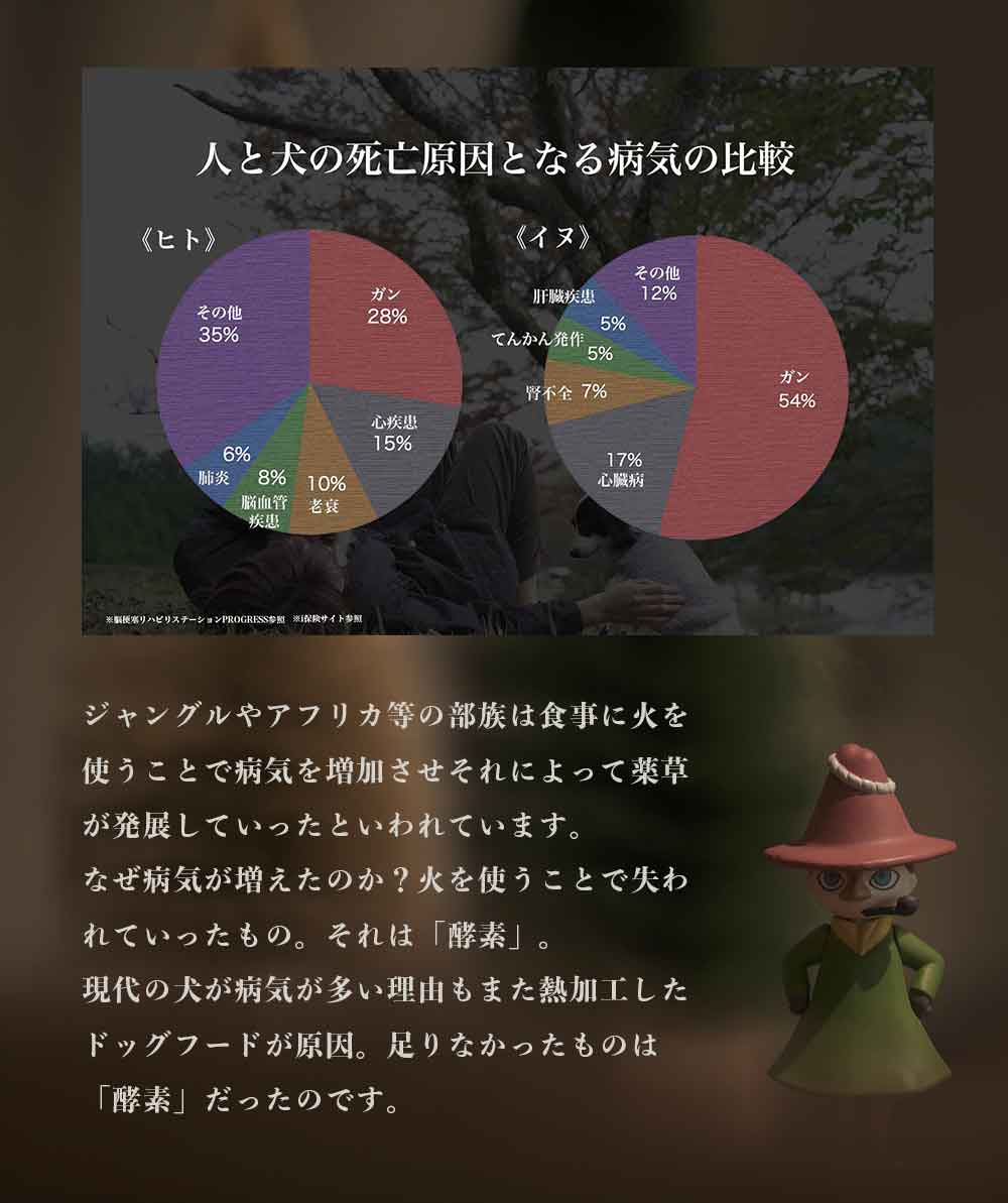 クロム生酵素（犬）