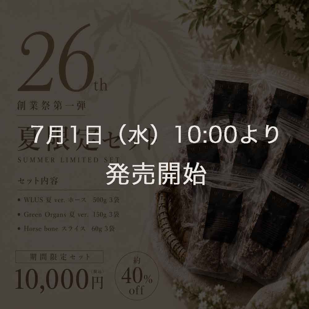 ウルス創業祭