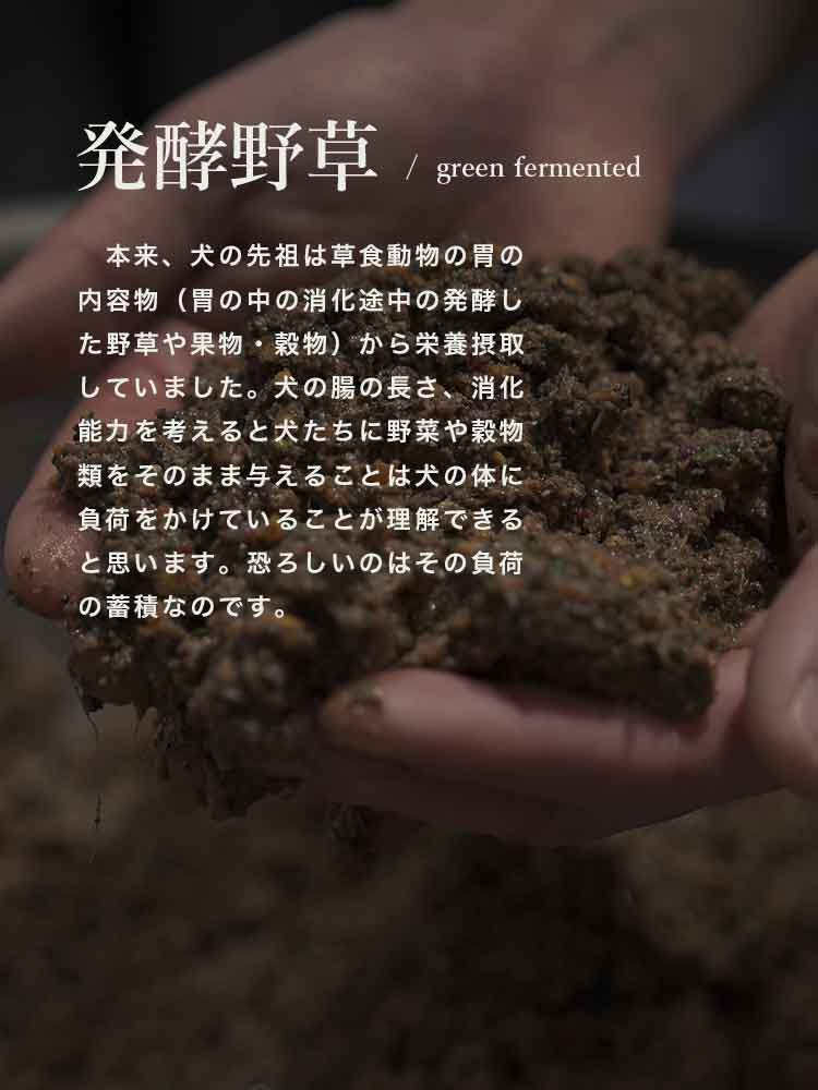 犬の食事 自然食ウルス 内臓