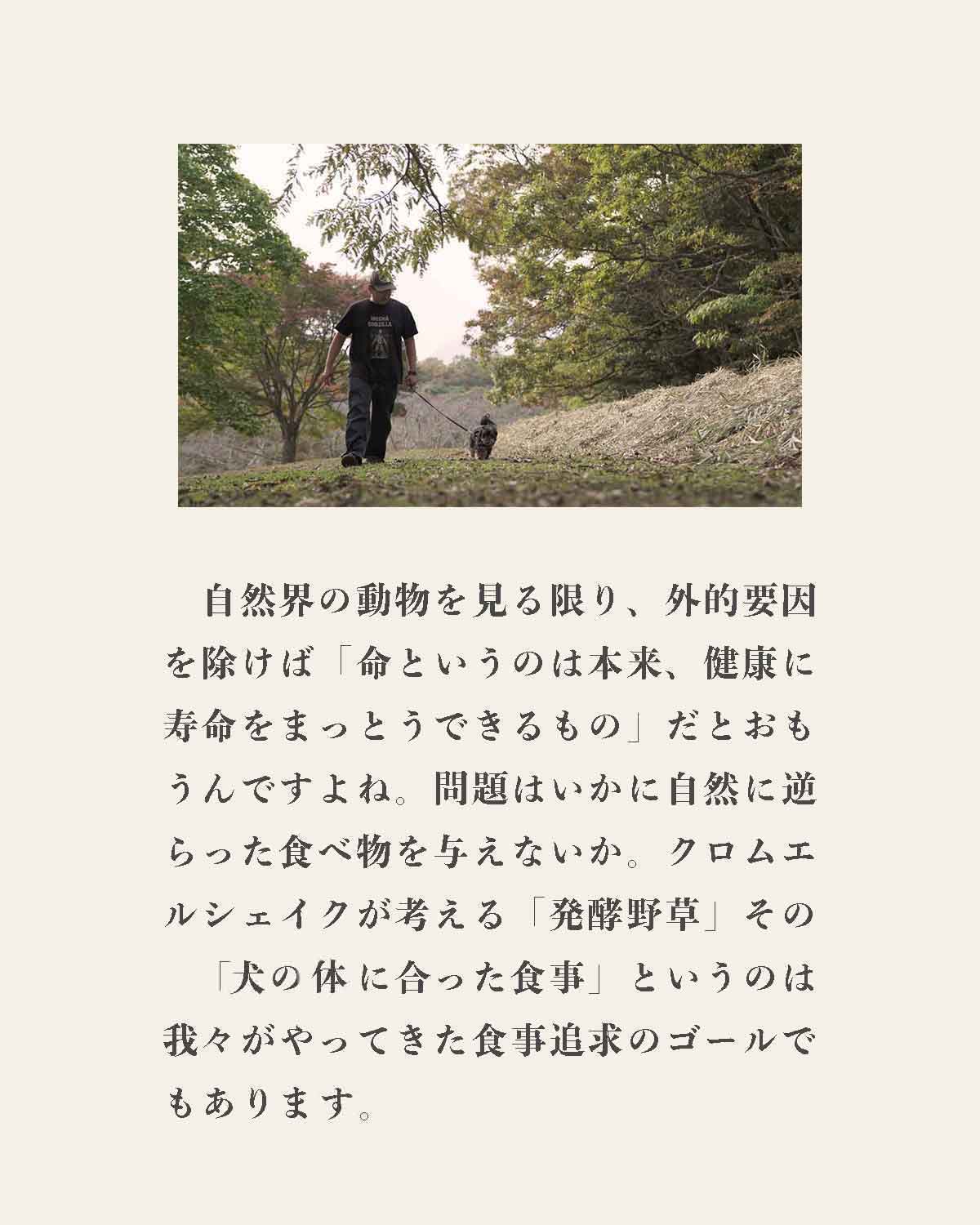発酵野草ドッグフードウルス