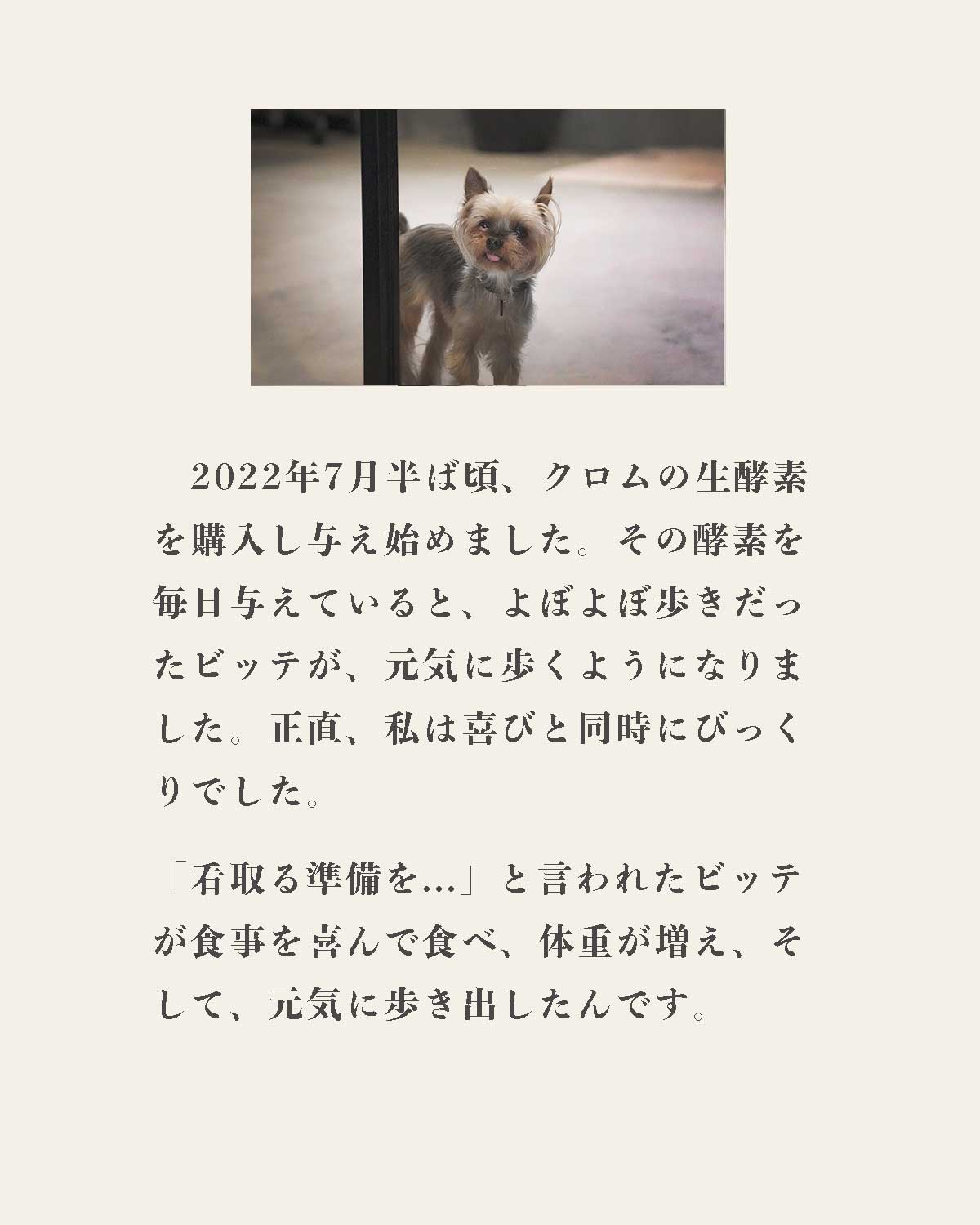 発酵野草ドッグフードウルス